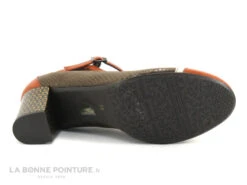 Dorking RODIN D8669 Orange Et Marron - Escarpin Avec Bride -Chaussures Soldes Boutique cd24607c73b9e66c561f35ea11d5d5ef img 1299.jpg 173233